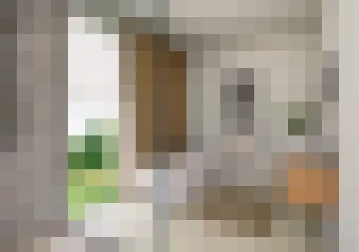 Jan Muschlaan 12 Den Haag thumbnail 20