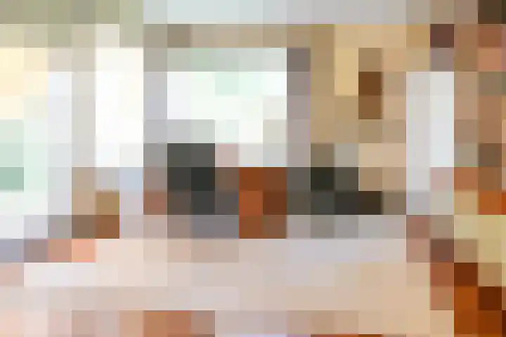 Jan Muschlaan 12 Den Haag thumbnail 21