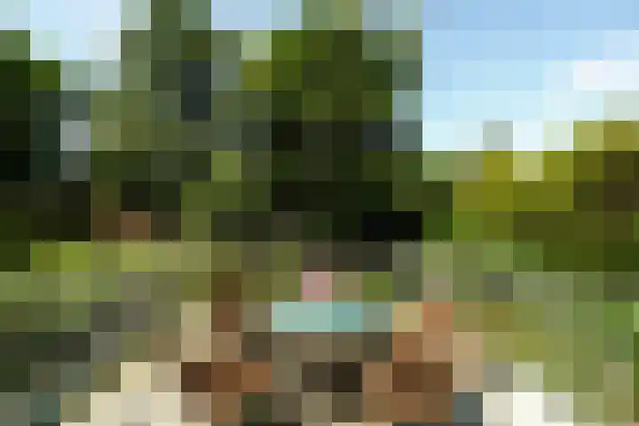Jan Muschlaan 12 Den Haag thumbnail 22