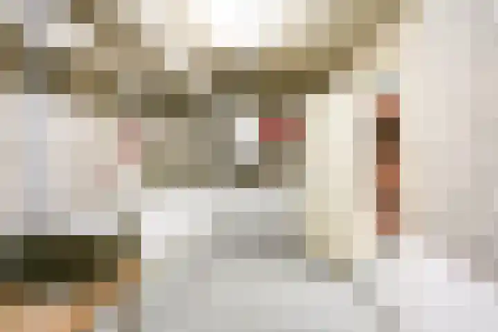 Jan Muschlaan 12 Den Haag thumbnail 26