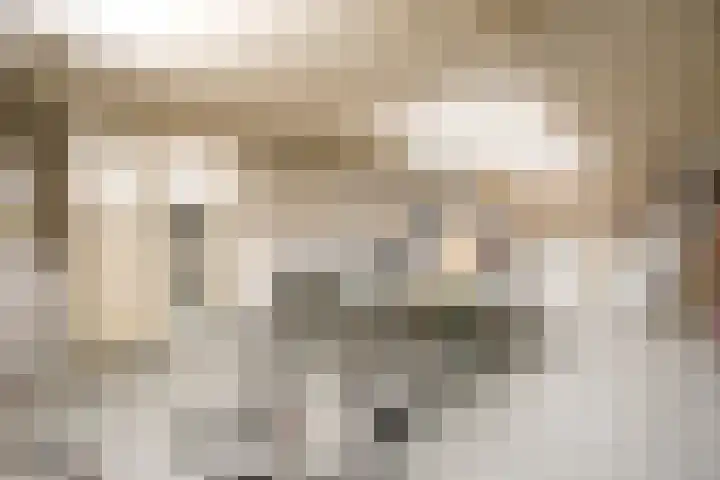 Jan Muschlaan 12 Den Haag thumbnail 27