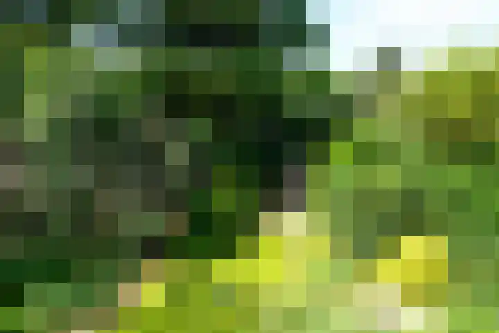 Jan Muschlaan 12 Den Haag thumbnail 31