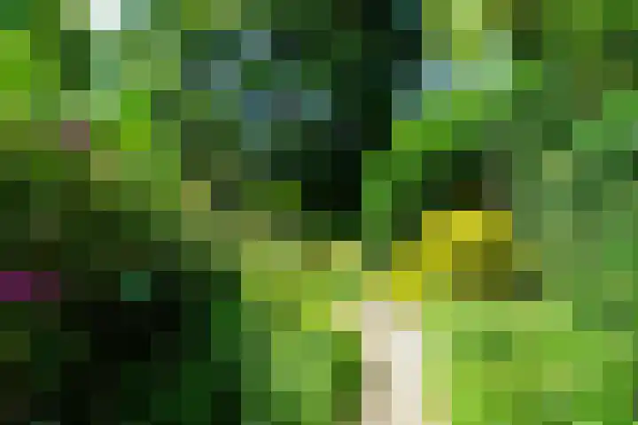 Jan Muschlaan 12 Den Haag thumbnail 32