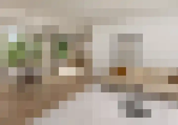 Jan Muschlaan 12 Den Haag thumbnail 8