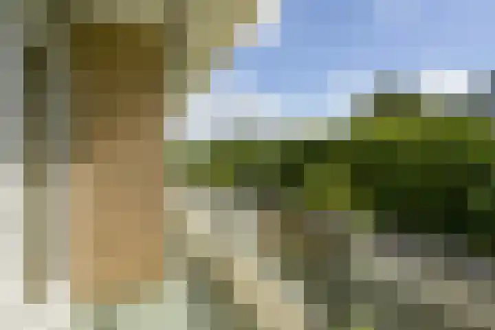 Jan Muschlaan 122 Den Haag thumbnail 14