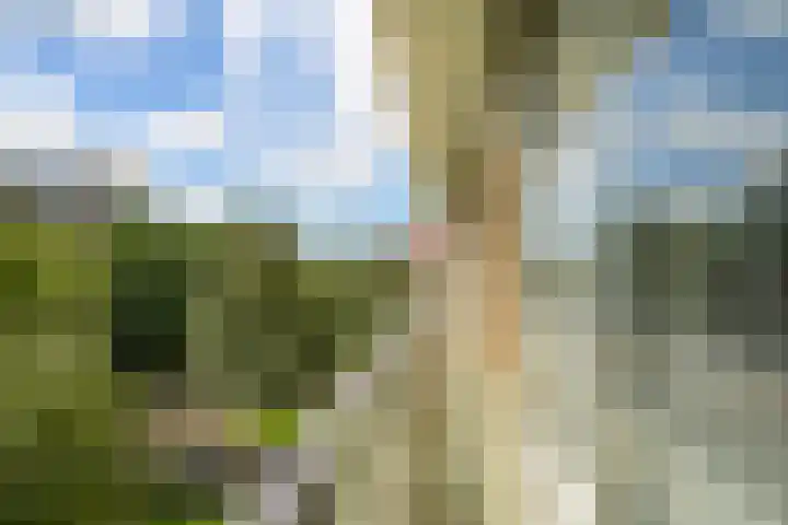 Jan Muschlaan 122 Den Haag thumbnail 15