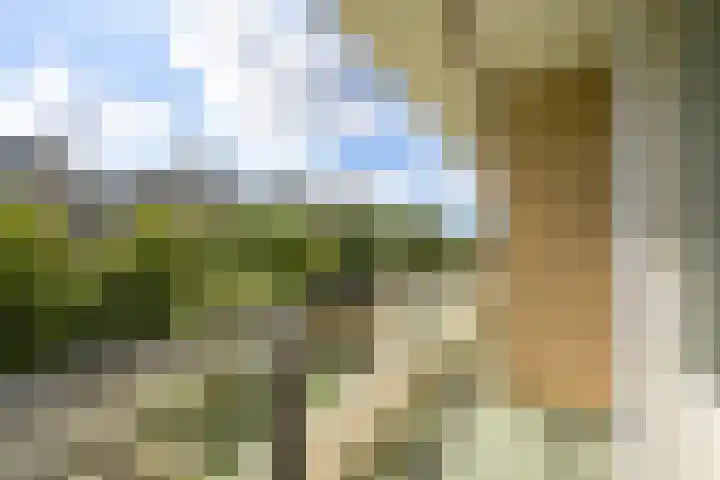 Jan Muschlaan 122 Den Haag thumbnail 16