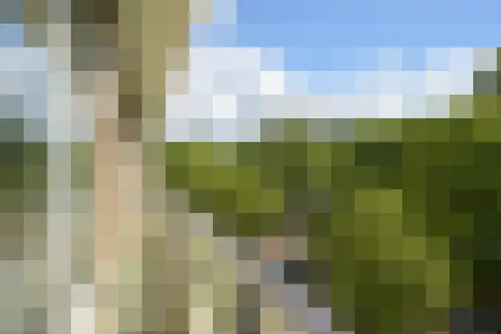 Jan Muschlaan 122 Den Haag thumbnail 17