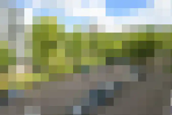 Jan Muschlaan 122 Den Haag thumbnail 18