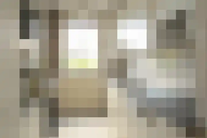 Jan Muschlaan 122 Den Haag thumbnail 19