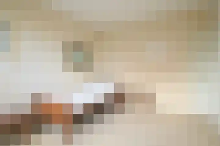 Jan Muschlaan 122 Den Haag thumbnail 26