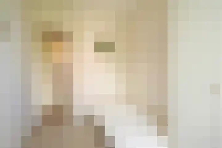 Jan Muschlaan 122 Den Haag thumbnail 28
