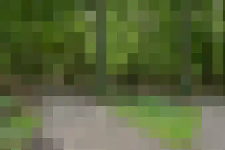 Jan Muschlaan 122 Den Haag thumbnail 36