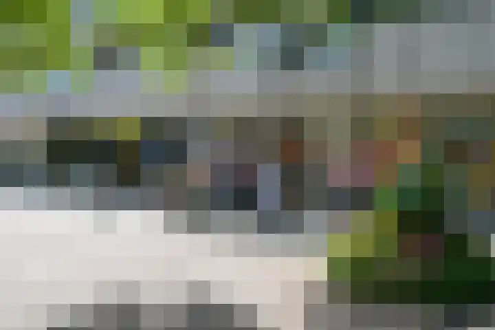 Jan Muschlaan 122 Den Haag thumbnail 38