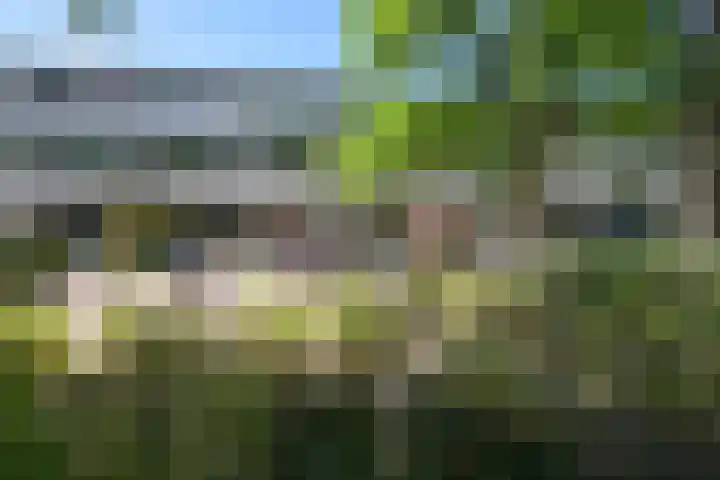 Jan Muschlaan 122 Den Haag thumbnail 39