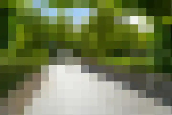 Jan Muschlaan 122 Den Haag thumbnail 4