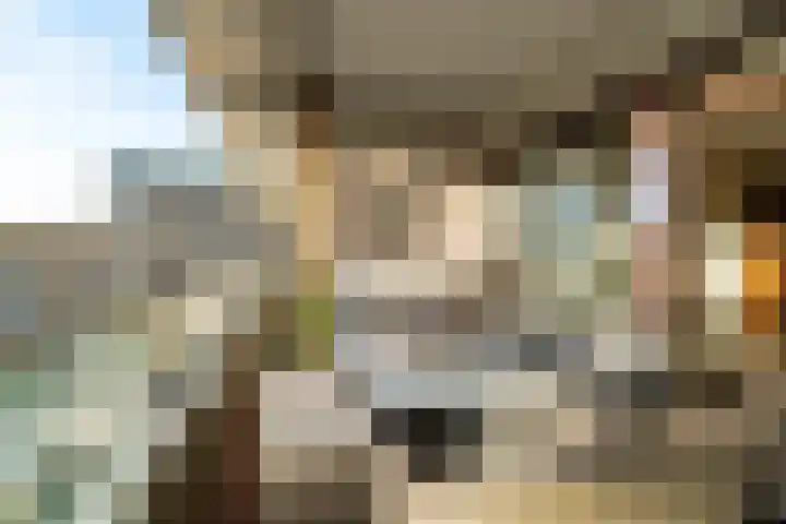 Jan Muschlaan 200 Den Haag thumbnail 15
