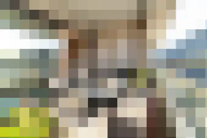 Jan Muschlaan 200 Den Haag thumbnail 16