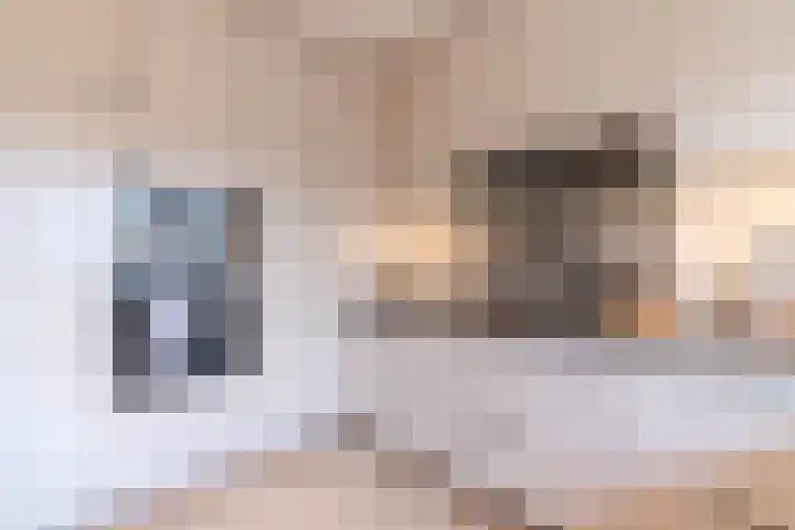 Jan Muschlaan 200 Den Haag thumbnail 23