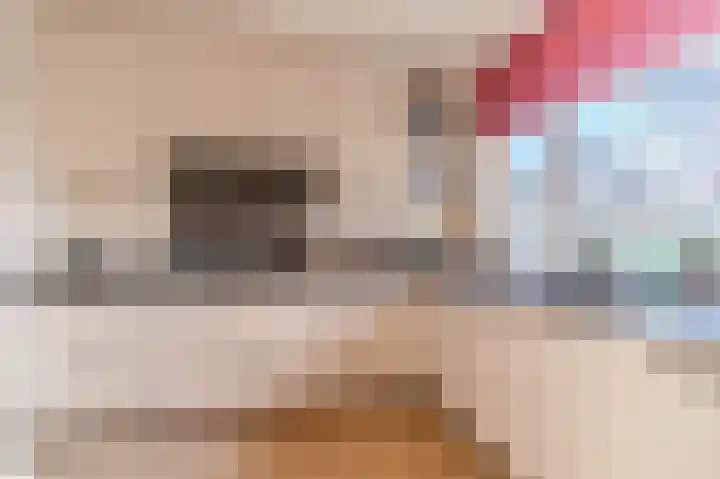 Jan Muschlaan 200 Den Haag thumbnail 24