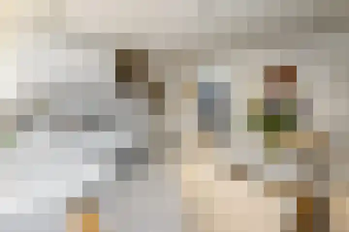 Jan Muschlaan 3 Den Haag thumbnail 11