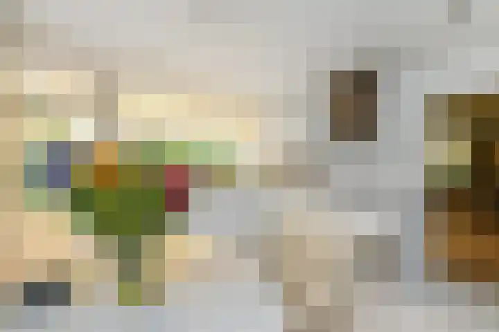 Jan Muschlaan 3 Den Haag thumbnail 12