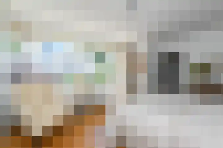 Jan Muschlaan 3 Den Haag thumbnail 13