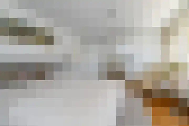 Jan Muschlaan 3 Den Haag thumbnail 14