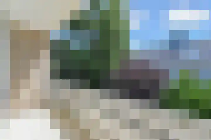 Jan Muschlaan 3 Den Haag thumbnail 15