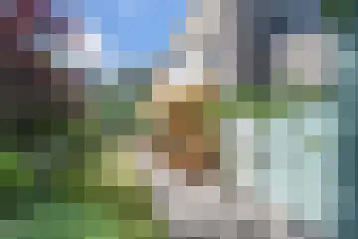 Jan Muschlaan 3 Den Haag thumbnail 23
