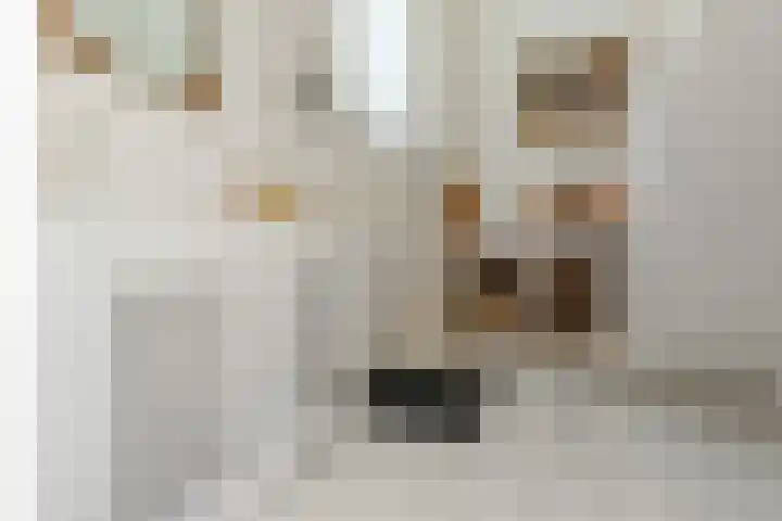 Jan Muschlaan 3 Den Haag thumbnail 4