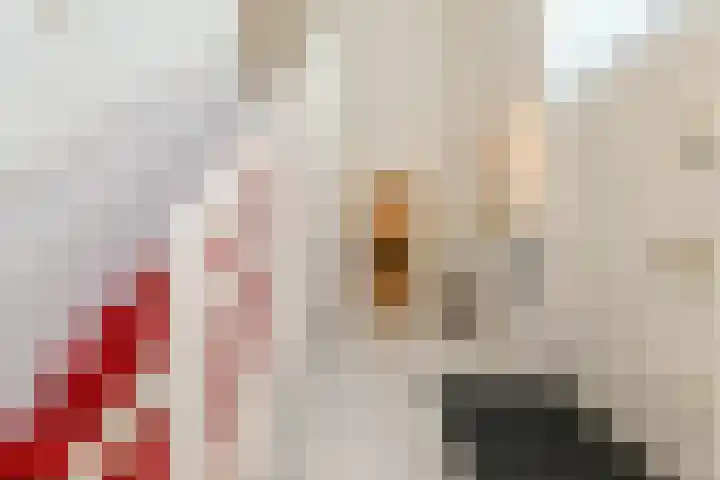 Jan Muschlaan 3 Den Haag thumbnail 5