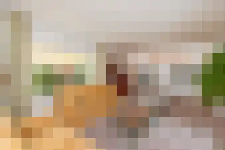 Jan Muschlaan 3 Den Haag thumbnail 7