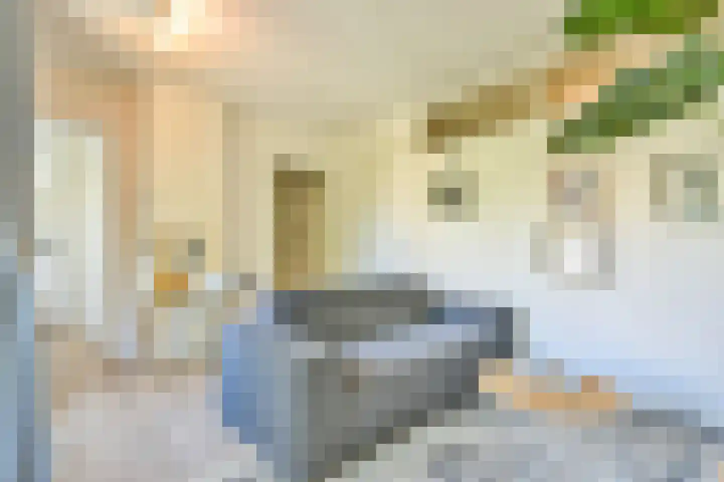 Jan Muschstraat 68 Amsterdam thumbnail 7