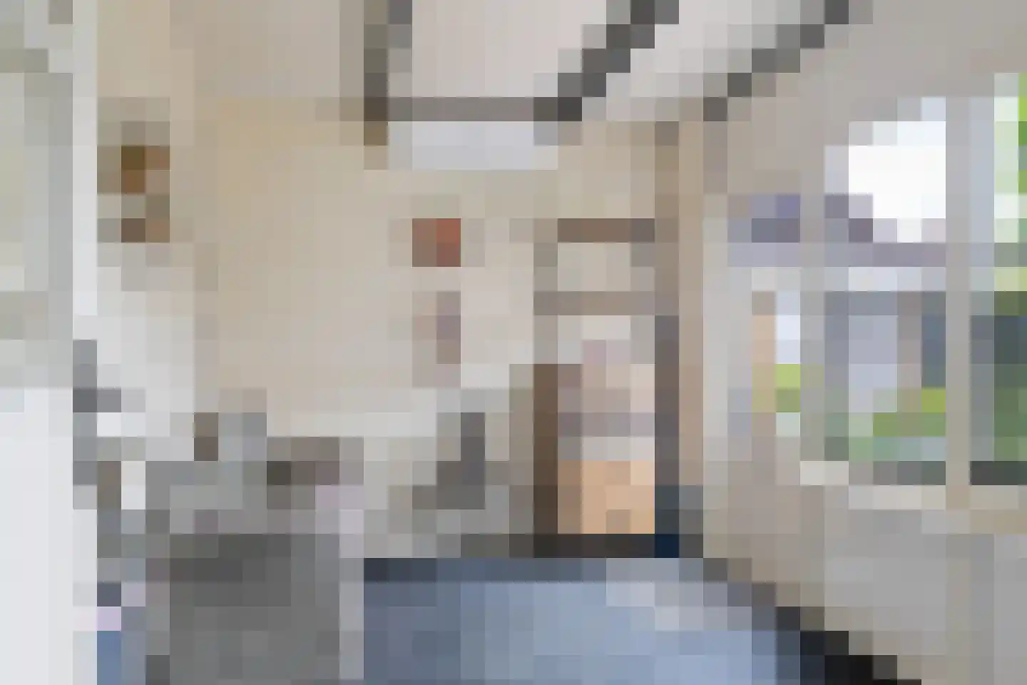 Jan Naardingstraat 14 Coevorden thumbnail 18