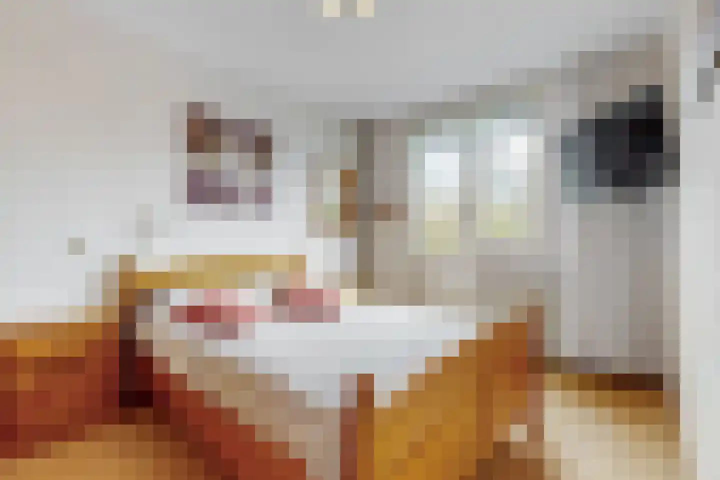 Jan Nautahof 68 Amsterdam thumbnail 13