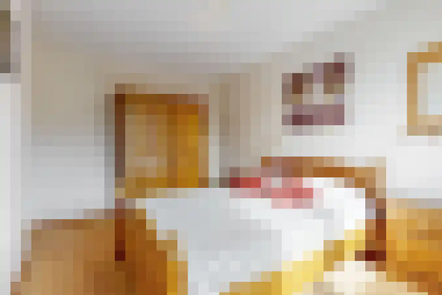 Jan Nautahof 68 Amsterdam thumbnail 14