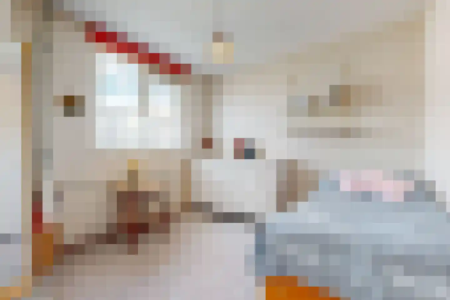 Jan Nautahof 68 Amsterdam thumbnail 17
