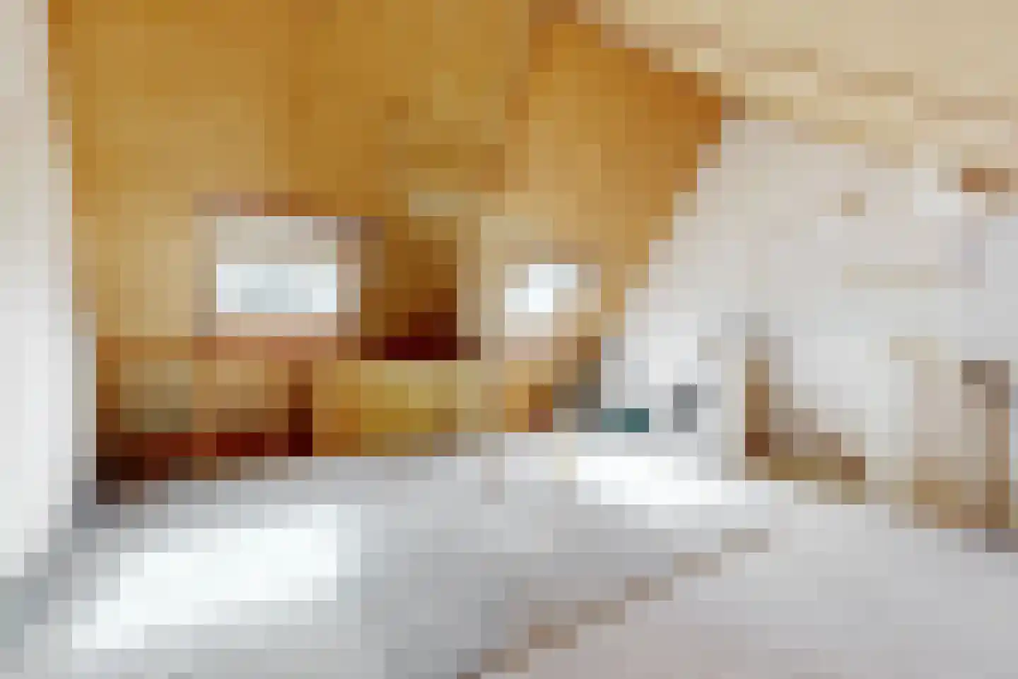Jan Nautahof 68 Amsterdam thumbnail 20