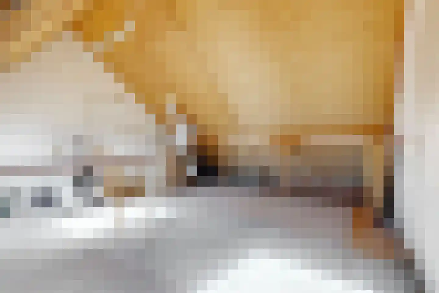 Jan Nautahof 68 Amsterdam thumbnail 21