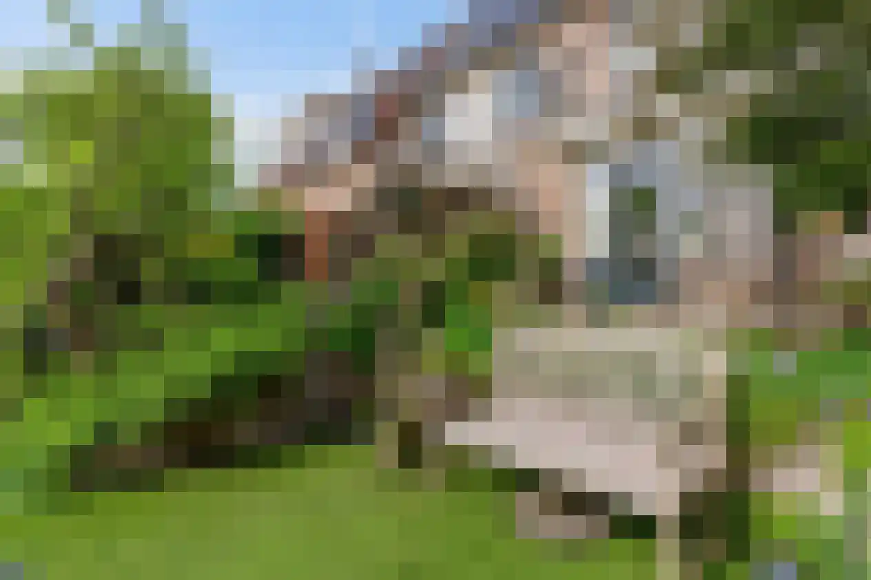 Jan Nautahof 68 Amsterdam thumbnail 25