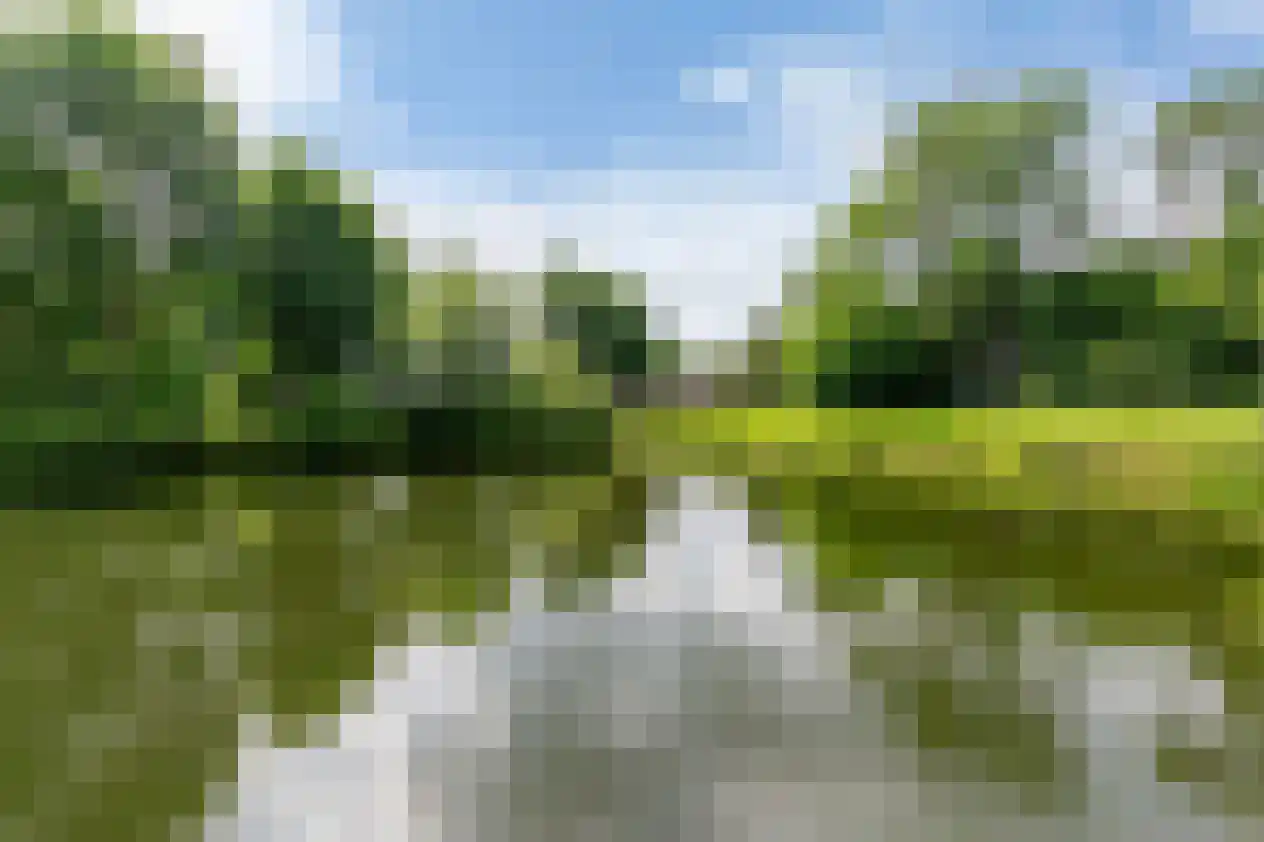 Jan Nautahof 68 Amsterdam thumbnail 31