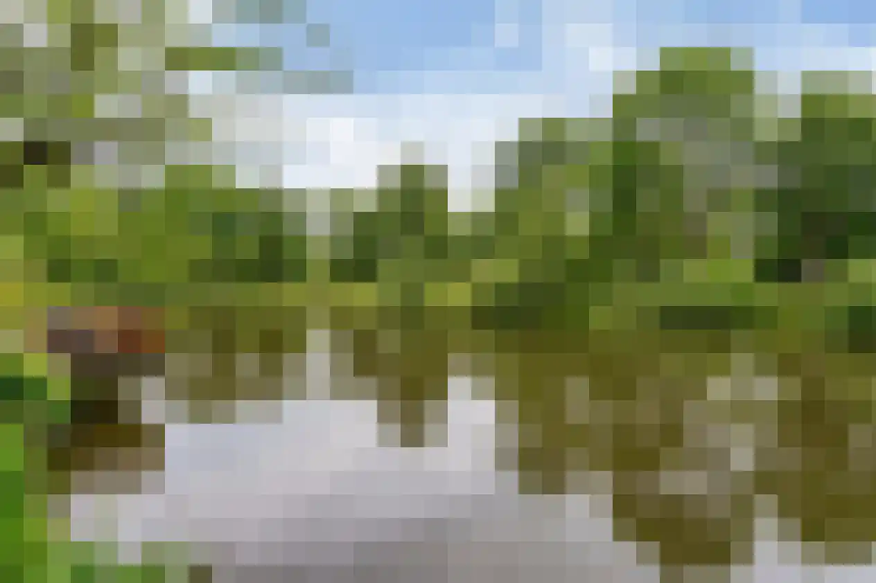 Jan Nautahof 68 Amsterdam thumbnail 32