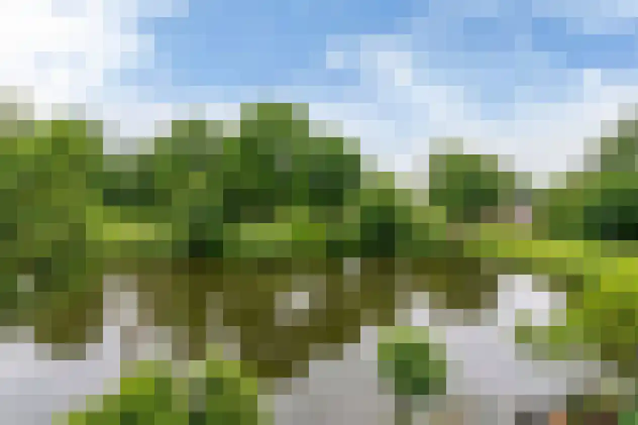 Jan Nautahof 68 Amsterdam thumbnail 33