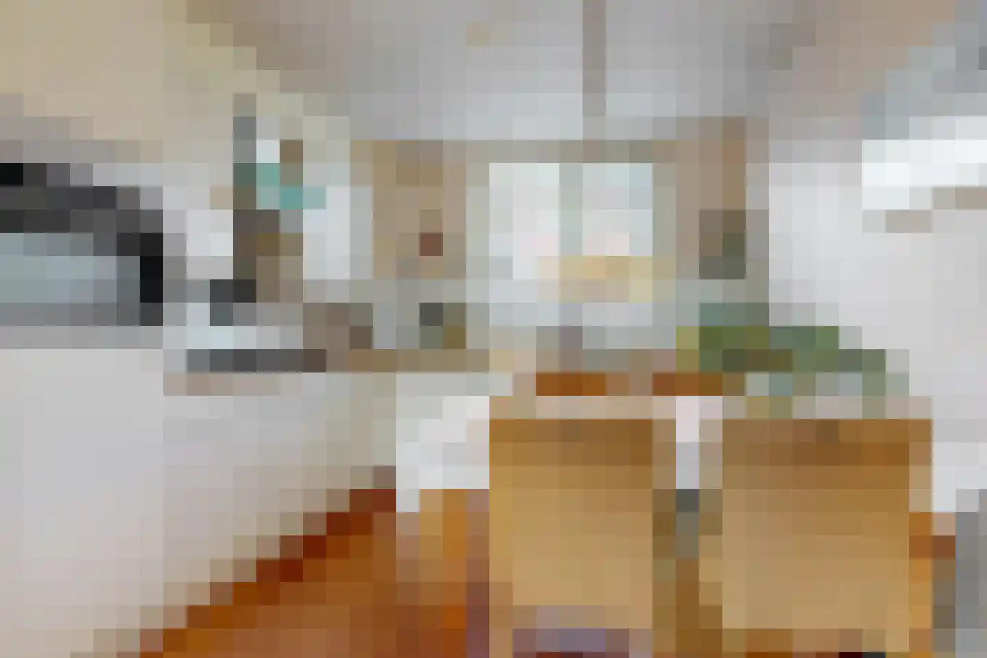 Jan Nautahof 68 Amsterdam thumbnail 7