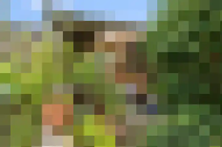 Jan Nautahof 7 Amsterdam thumbnail 11