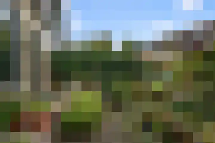 Jan Nautahof 7 Amsterdam thumbnail 12