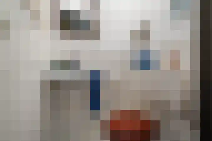 Jan Nautahof 7 Amsterdam thumbnail 14