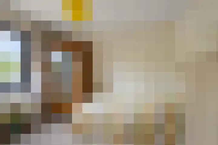 Jan Nautahof 7 Amsterdam thumbnail 17