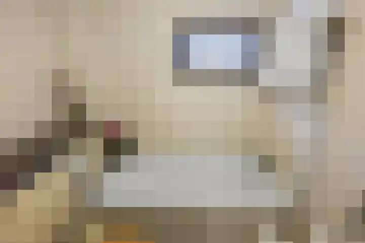 Jan Nautahof 7 Amsterdam thumbnail 18